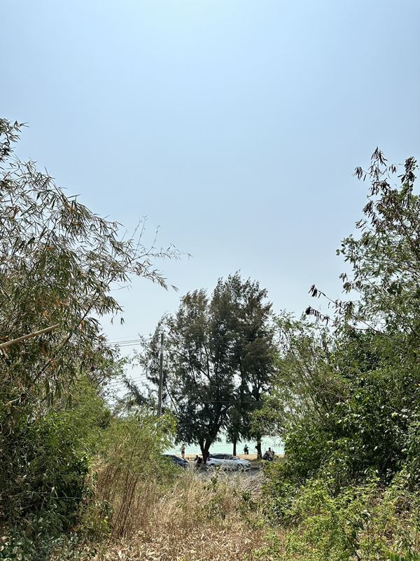 เจ้าของขายเอง ที่ดินสวยหายากใกล้ทะเล 80 เมตร หาดน้ำริน อ.บ้านฉาง จ.ระยอง